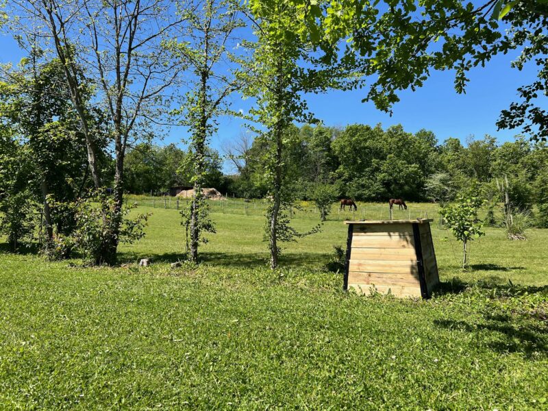 Jardin privatif arboré de 2 500 m² autour du gîte, Dévillac Lot-et-Garonne