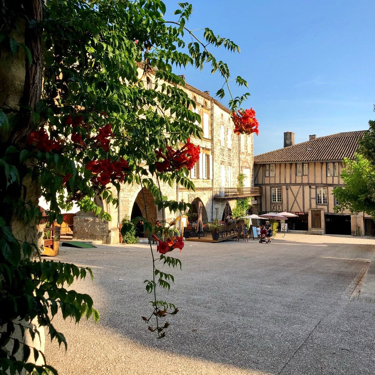 Place à arcades de Monflanquin, bougainvilliers en fleurs
