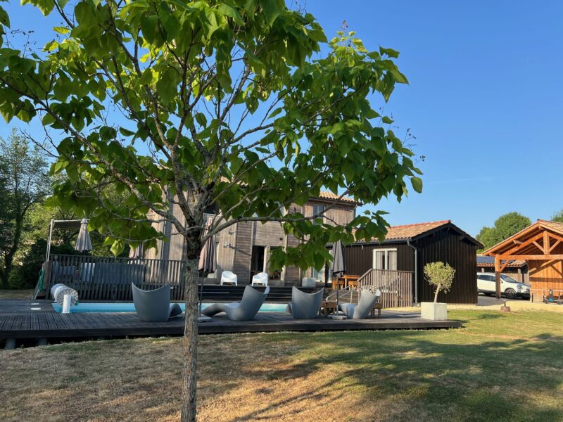 La piscine vue depuis le jardin arboré