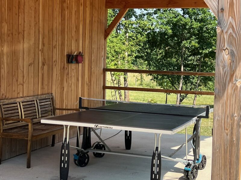 Table de ping-pong sous le préau, jeux en famille