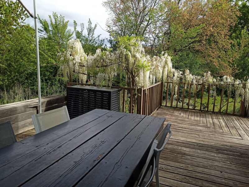 Table de terrasse sous la glycine en fleurs
